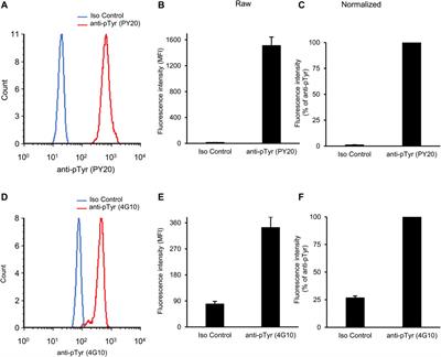 Analysis of intracellular tyrosine phosphorylation in circulating neutrophils as a rapid assay for the in vivo effect of oral tyrosine kinase inhibitors